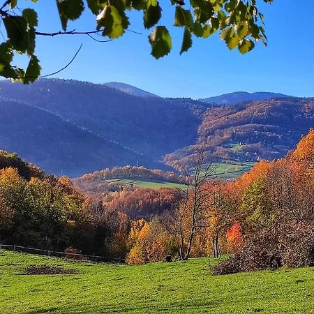 Gite A La Source Breitenbach Exterior photo