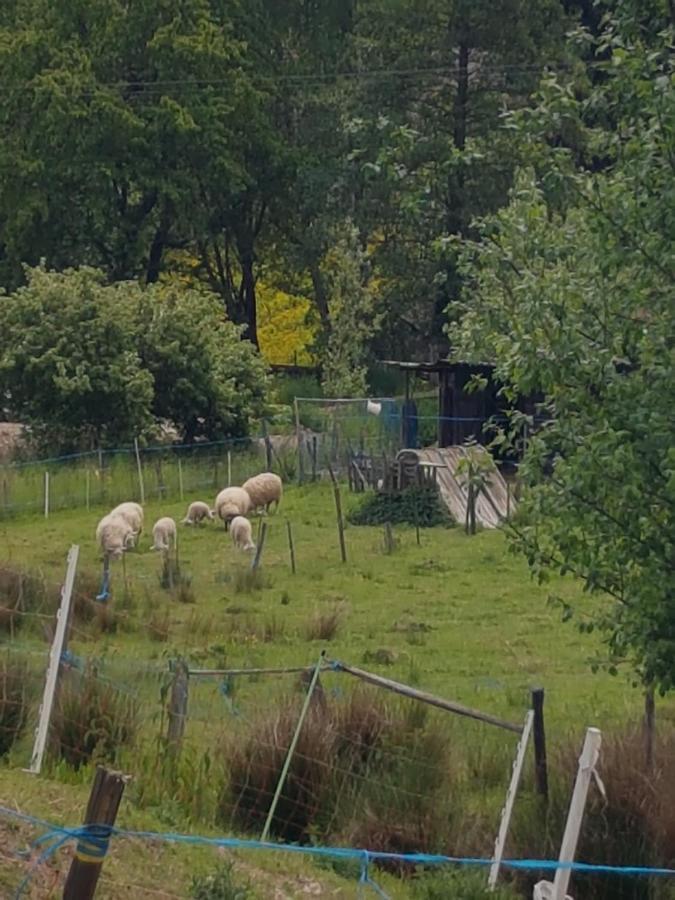 Gite A La Source Breitenbach Exterior photo