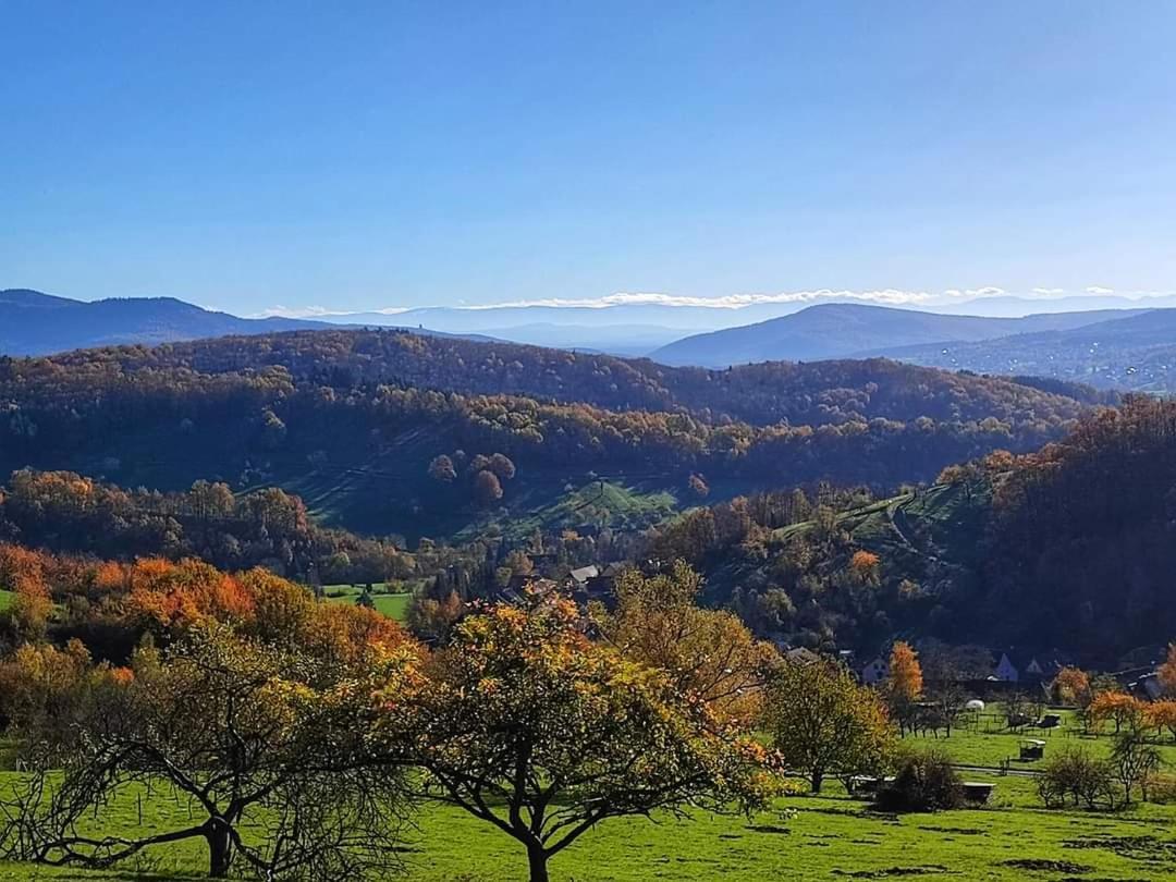 Gite A La Source Breitenbach Exterior photo